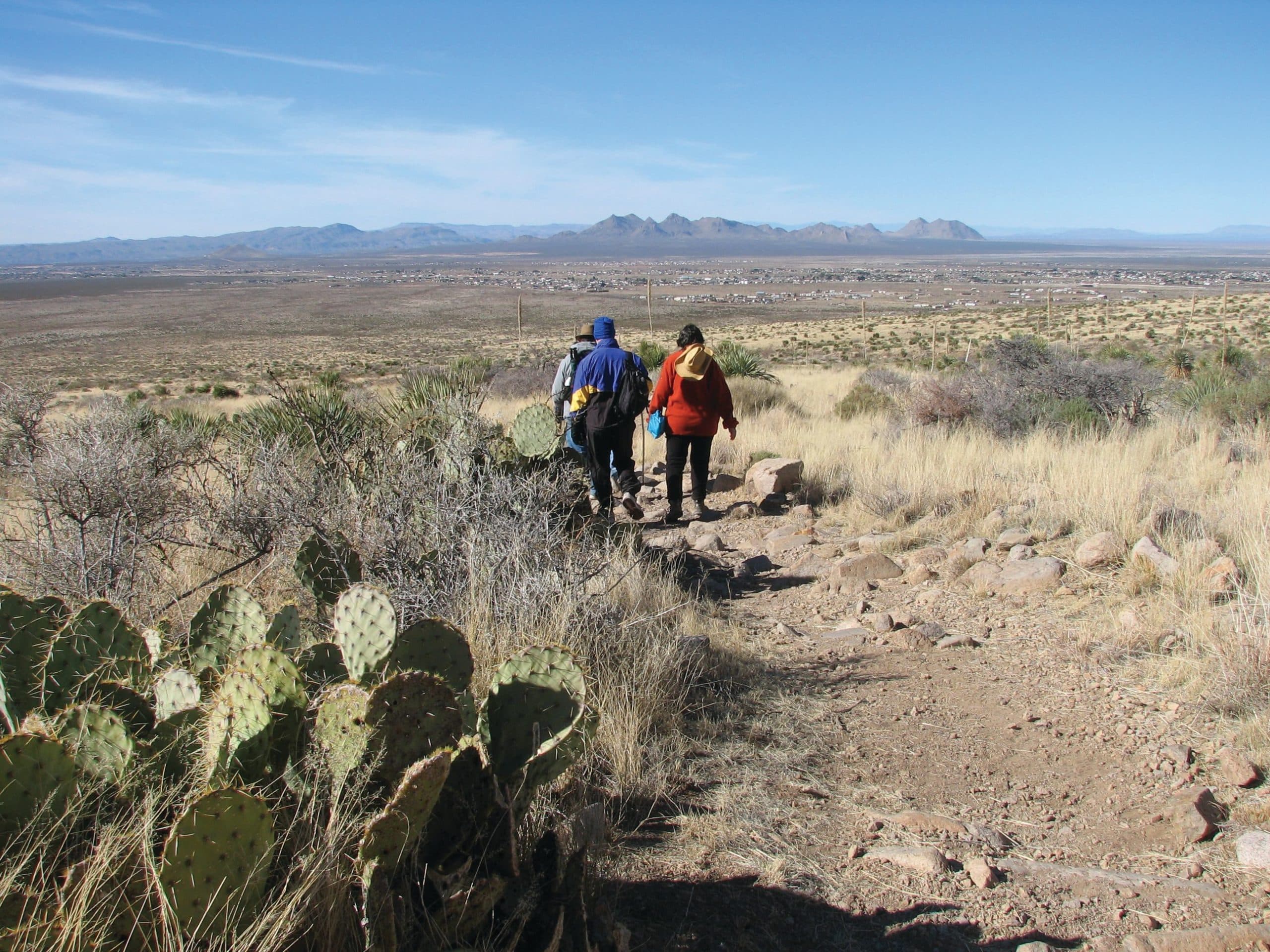 Hikers walking the Baylor Canyon Trail with the mountains in the distance and cacti along the trail.