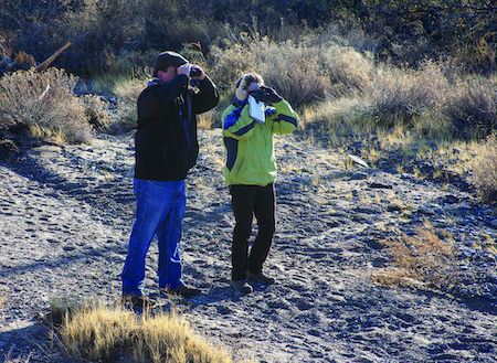 Two birders looking searching for birds