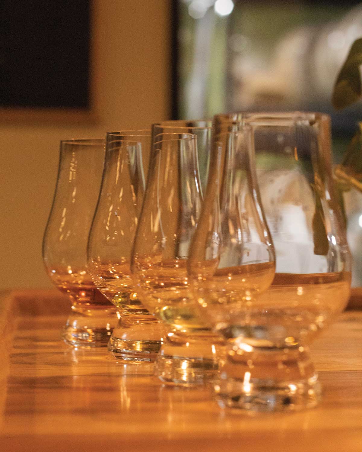 Row of glasses.