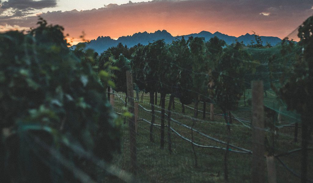 Rio Grande Winery at sunset