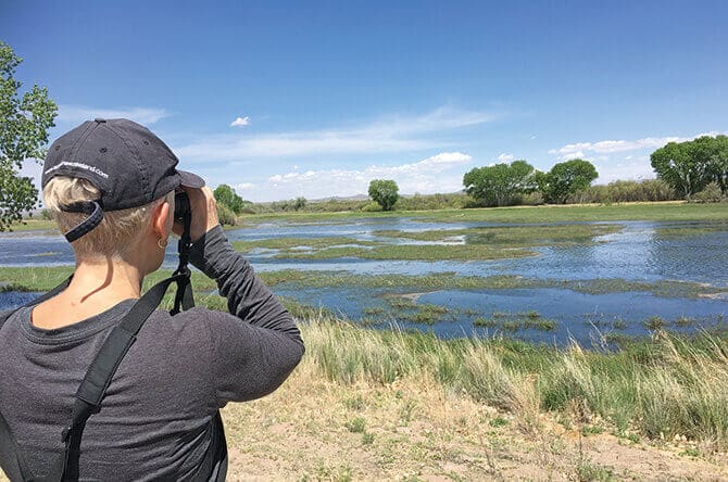 woman viewing birds on lake