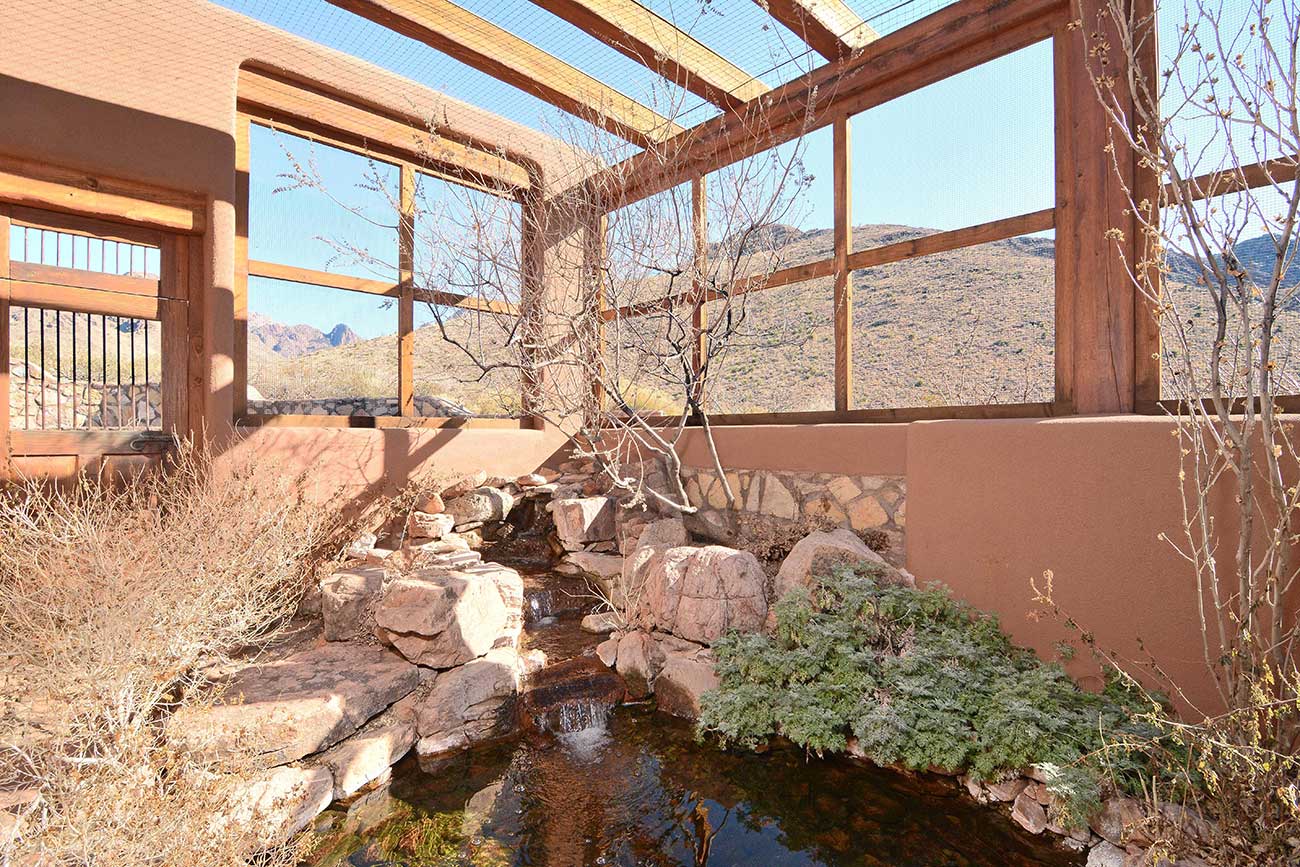 A enclosed cat patio