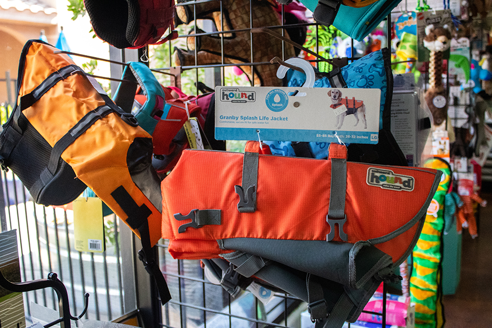 doggy life jackets