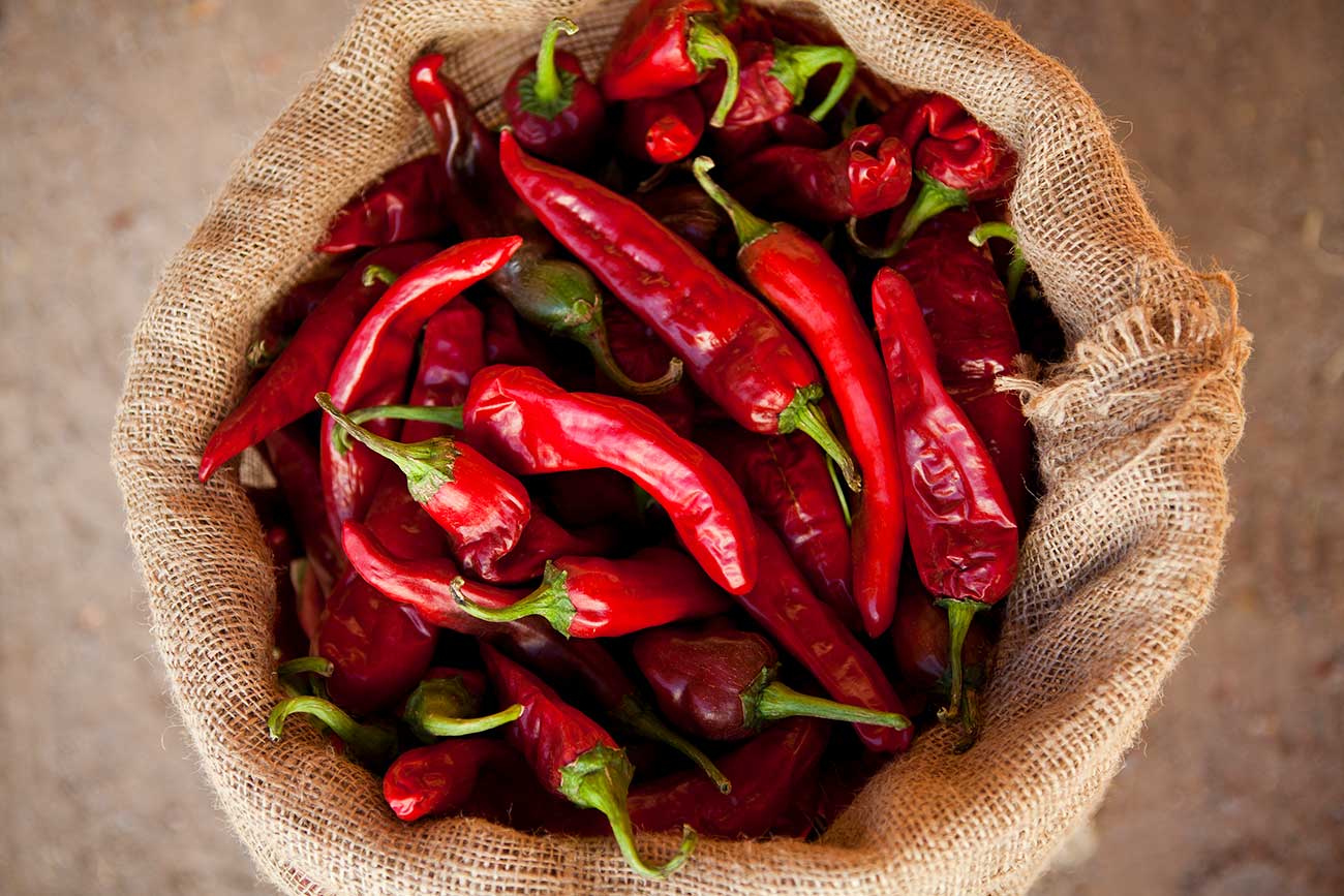 A bag of mature red chile.
