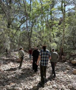 Birders walking in the dry creekbed in May.