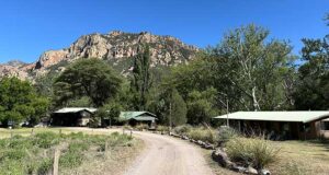 Some of the buildings that make up the Southwestern Research Station in Cave Creek Canyon.