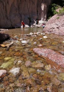 Whitewater Creek near the Catwalk
