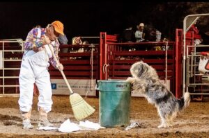 Man sweeping with a broom and dog with paws on trash can at a rodeo.