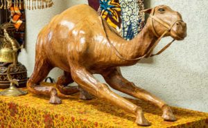 Camel at The Emporium