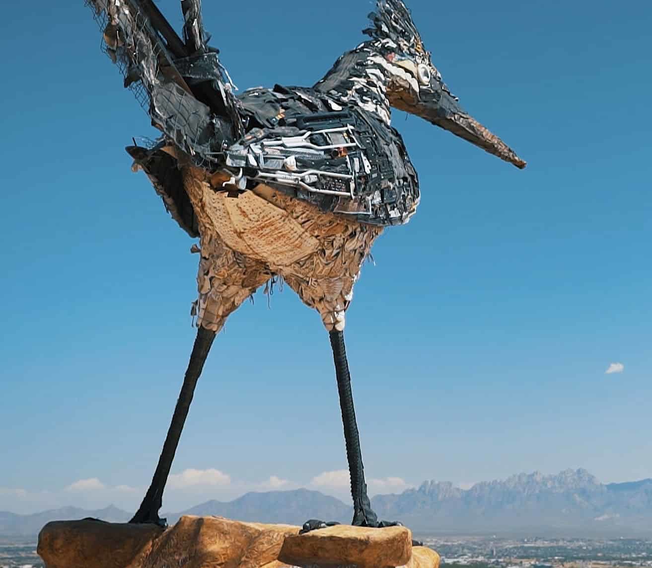 recycled roadrunner